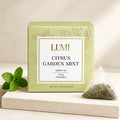 Citrus Garden Mint Green Tea - 5 pyramids