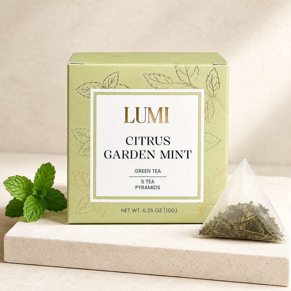 Citrus Garden Mint Green Tea - 5 pyramids