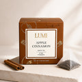 Apple Cinnamon Black Tea - 5 pyramids
